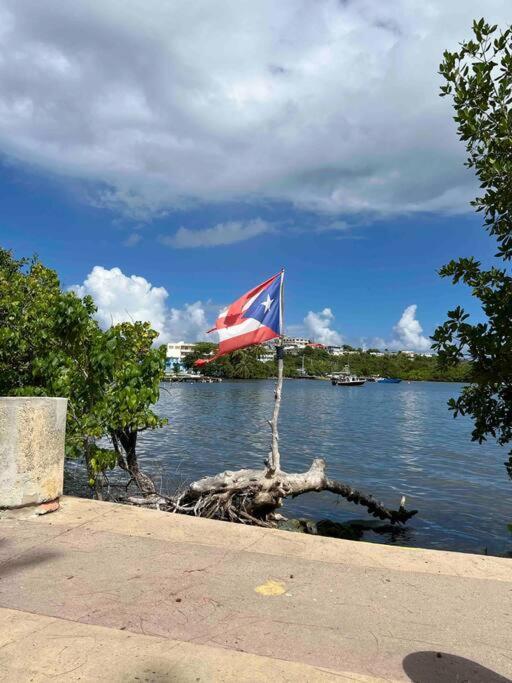 Casa Rosado Villa Marina Fajardo Yunque Seven Seas Εξωτερικό φωτογραφία