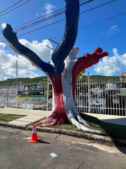 Casa Rosado Villa Marina Fajardo Yunque Seven Seas Εξωτερικό φωτογραφία